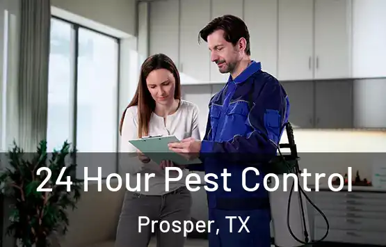  24 Hour Pest Control Prosper, TX