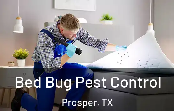  Bed Bug Pest Control Prosper, TX
