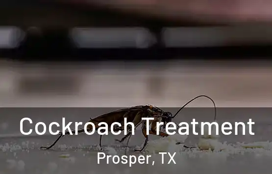  Cockroach Treatment Prosper, TX