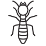 Termites Pest Control Prosper, Texas