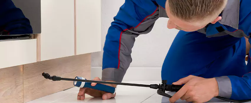 Ant Control for Bedrooms in Prosper, TX