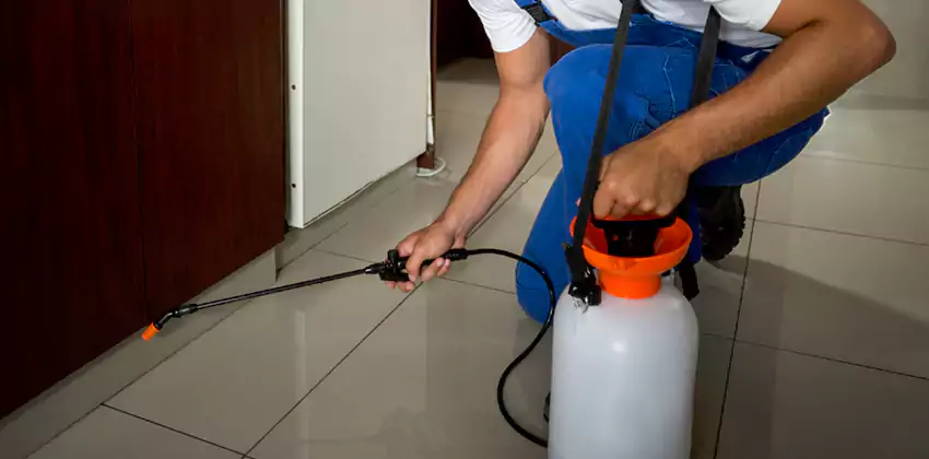 Commercial Flea Exterminator Company in Prosper, TX