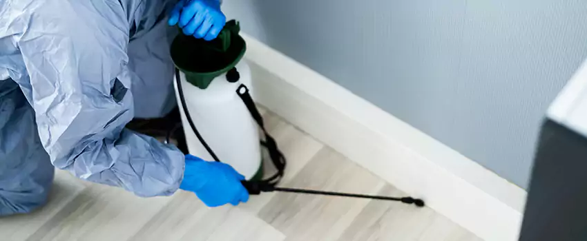 cockroach-exterminator in Prosper, TX