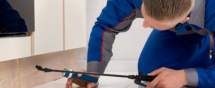 Pest Exterminator Company in Prosper, TX