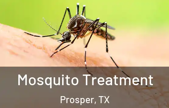  Mosquito Treatment Prosper, TX