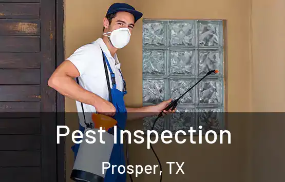 Pest Inspection Prosper, TX
