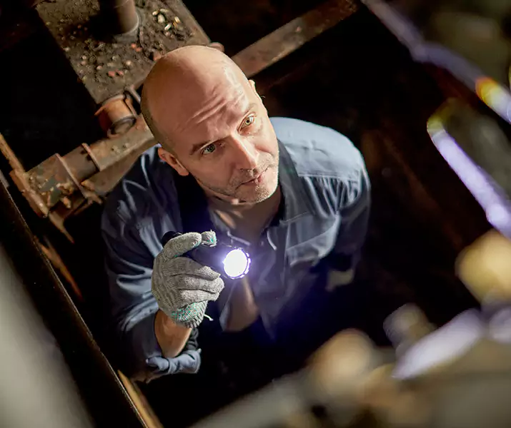 About Pest Inspection Prosper