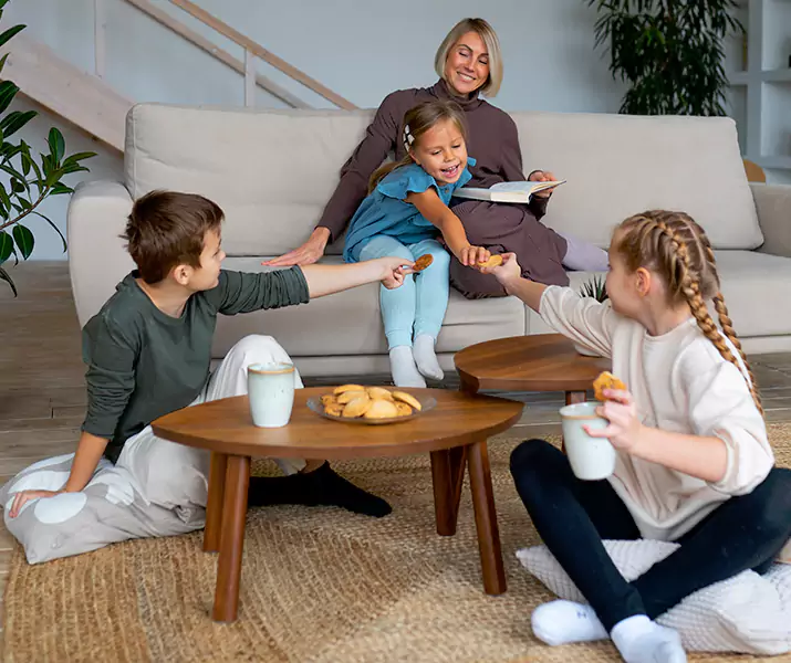 About Spider Exterminator Prosper