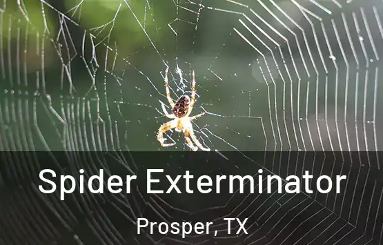  Spider Exterminator Prosper, TX