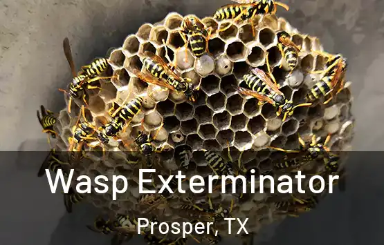  Wasp Exterminator Prosper, TX
